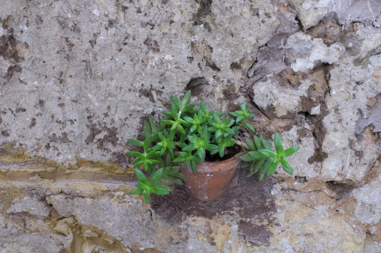 Casa Villafilippina باليرمو المظهر الخارجي الصورة